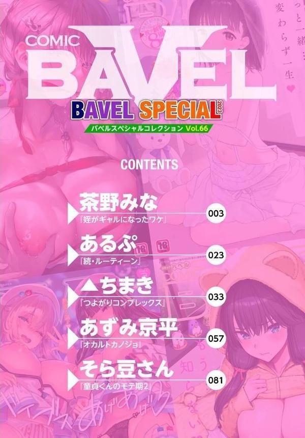 COMIC BAVEL SPECIAL COLLECTION（コミックバベル スペシャルコレクション）VOL66 無料エロ漫画（同人誌）サンプル画像002
